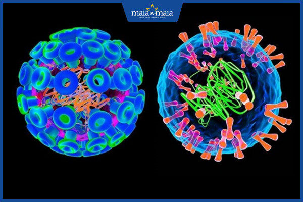 [TỔNG HỢP] Herpes sinh dục và những thông tin về bệnh bạn cần biết!