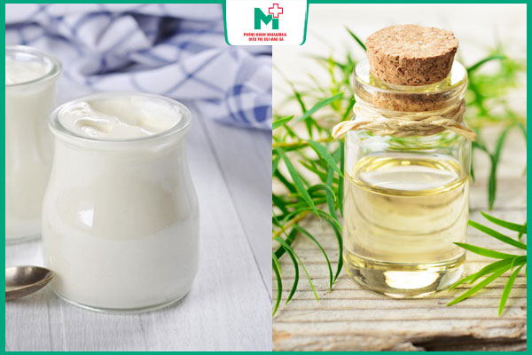 sữa chua và tinh dầu tràm trà