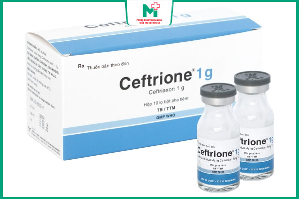 thuốc ceftriaxone