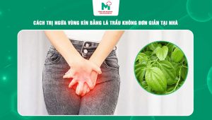 trị ngứa vùng kín bằng lá trầu không