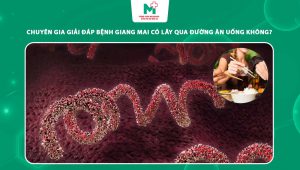 bệnh giang mai có lây qua đường ăn uống không