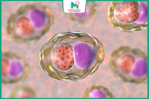 chữa bệnh Chlamydia