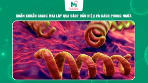 xoắn khuẩn giang mai