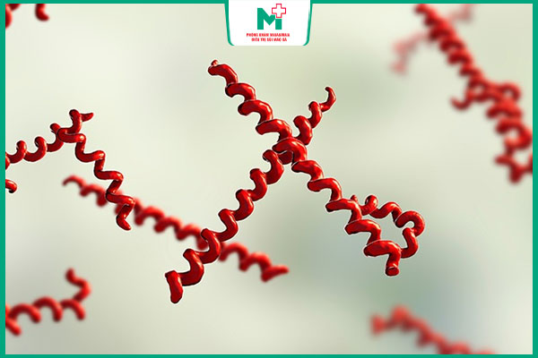 giai đoạn ủ bệnh giang mai