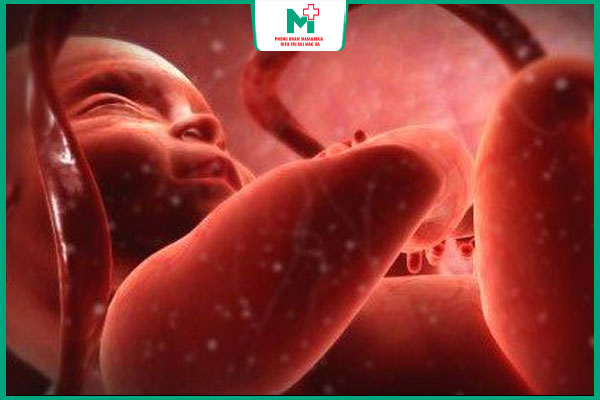 giang mai truyền sang thai nhi