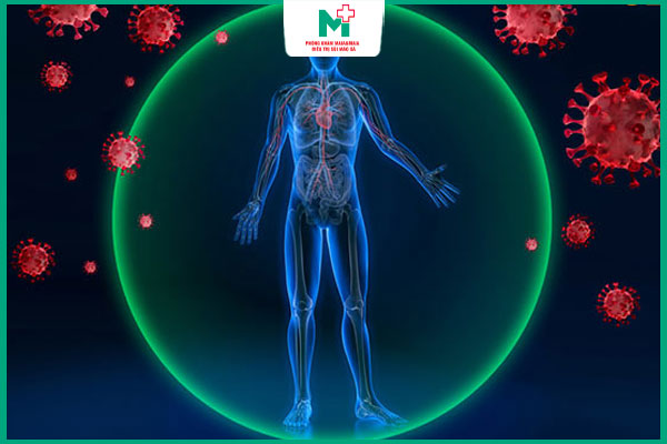 liệu pháp miễn dịch cân bằng