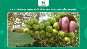 trị mụn cóc bằng trái sung