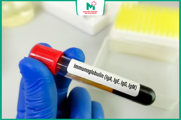 xét nghiệm iga ige igg igm