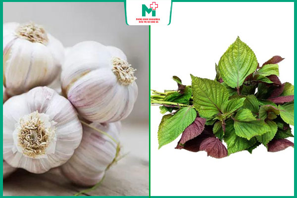 tỏi và lá tía tô