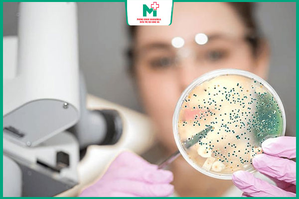 xét nghiệm nuôi cấy lậu cầu