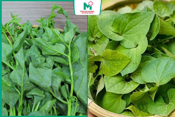 mồng tơi và diếp cá